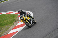 Lower Group Yellow Bikes
